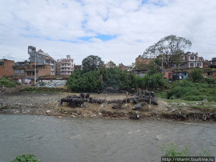 Река Багмати Катманду, Непал