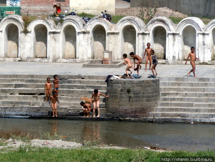 Дети купаются в реке Катманду, Непал