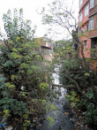 Речушка, впадающая в реку Багмати