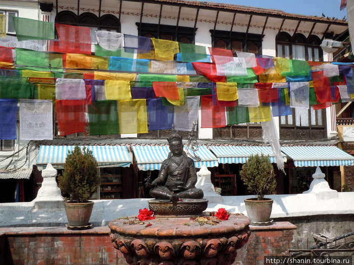 Будда и флажки Катманду, Непал