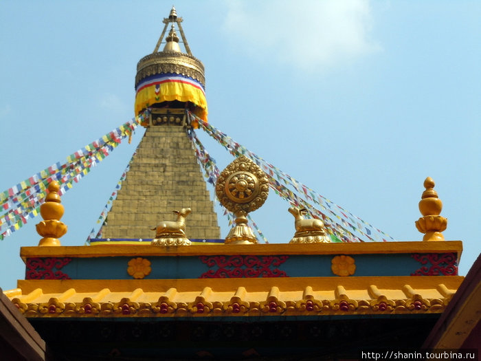 На вершине храма Катманду, Непал