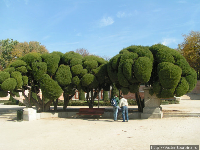 Чудо-деревья Мадрид, Испания