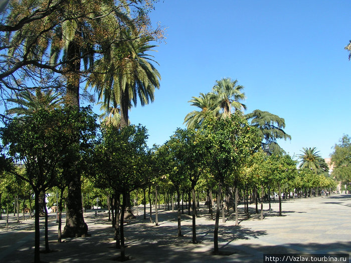 Парк на месте плаца Херес-де-ла-Фронтера, Испания