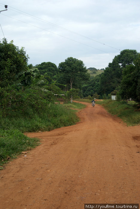 дорога вдоль берега Острова Сесе, Уганда