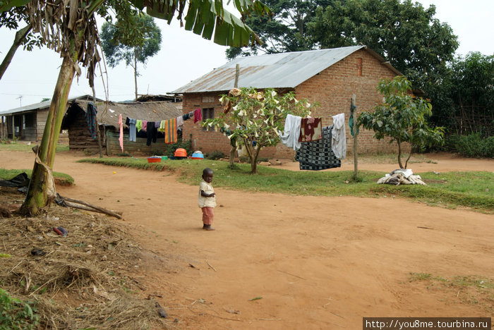 деревня Острова Сесе, Уганда
