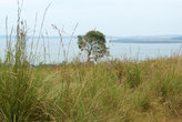 о-ва Ссесе на озере Виктория, Африка