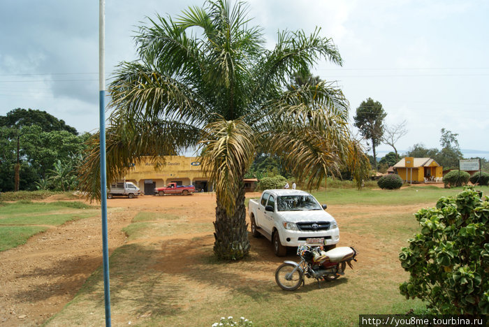 в центре острова Острова Сесе, Уганда