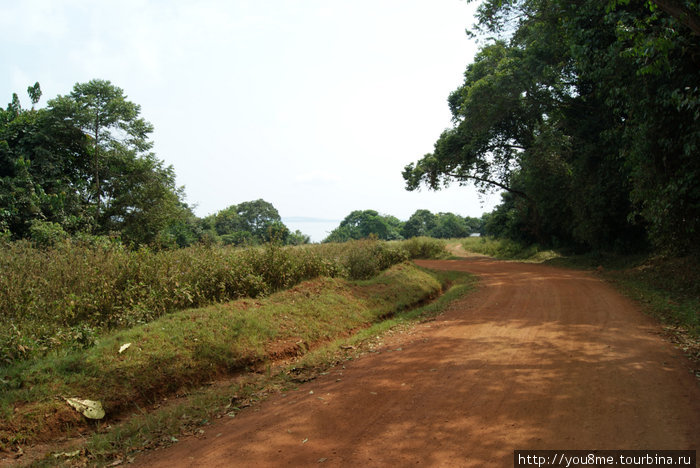 дорога Острова Сесе, Уганда