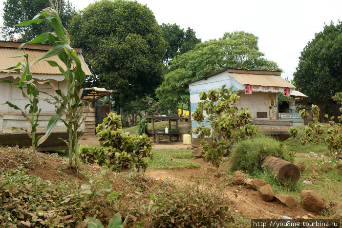 дома и палисаднички Острова Сесе, Уганда