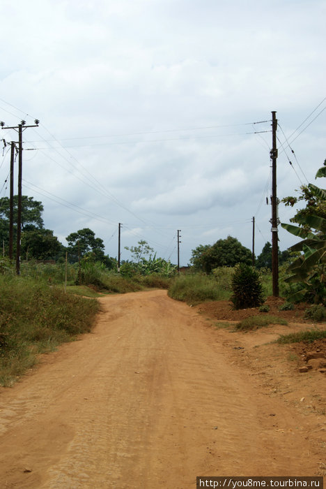 дорога вдоль острова Острова Сесе, Уганда