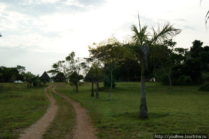 атмосферное место Острова Сесе, Уганда