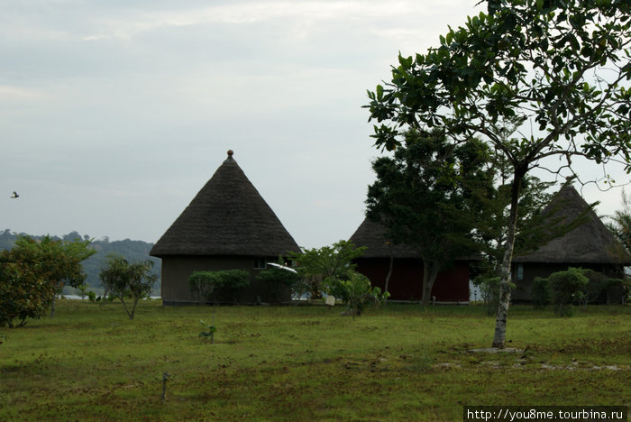африканские домики Острова Сесе, Уганда