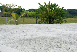 пляж с белым песком и большие птицы