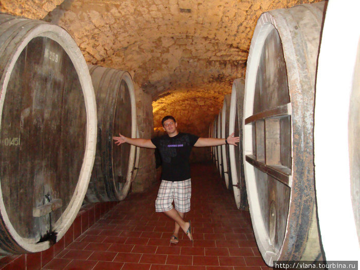 Шабо. Музей истории вина Старинные подвалы для приготовления Хереса Одесса, Украина