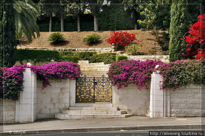 Бахайские сады | Хайфа | Израиль Хайфа, Израиль