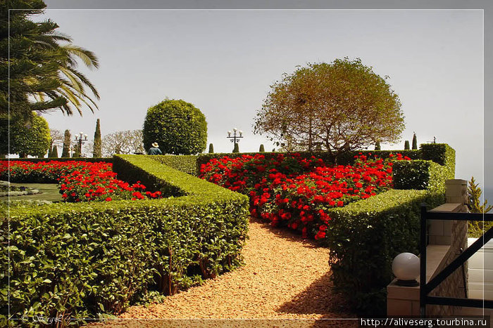 Бахайские сады | Хайфа | Израиль Хайфа, Израиль