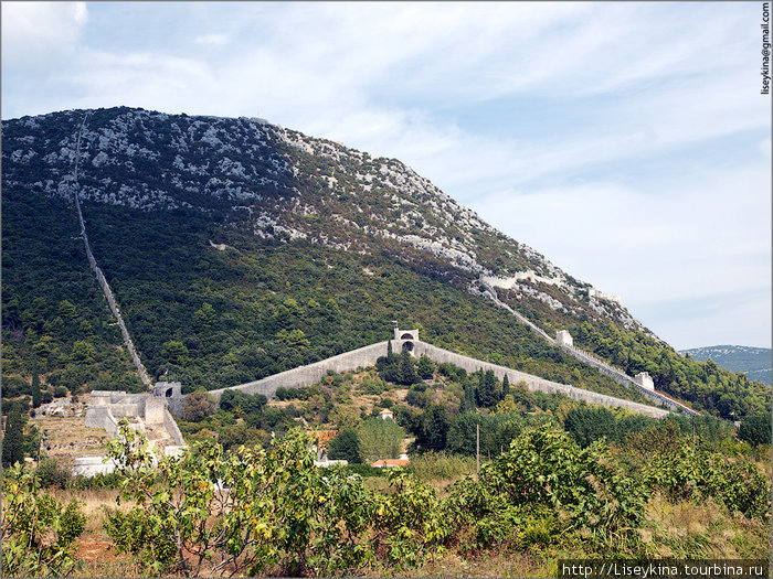 Стена города Стон Стон, Хорватия