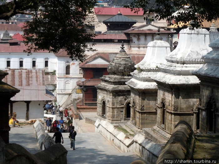 У храмов Шивы Катманду, Непал