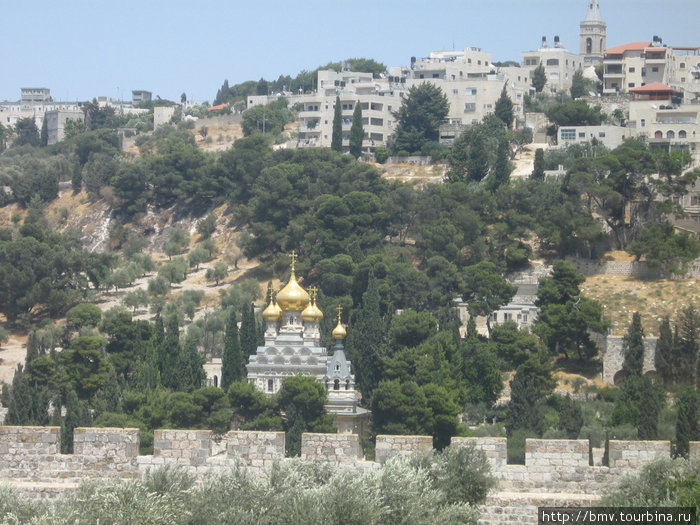Гефсимандский сад. Православная церковь. Иерусалим, Израиль