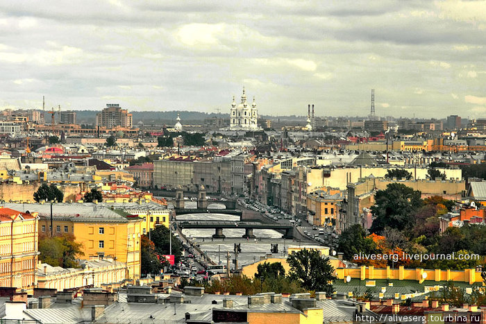 Чайкой над Питером рея Санкт-Петербург, Россия