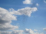 Сотни шариков взметнулись в голубое сентябрьское небо в честь открытия памятника 1000-летия на Стрелке!