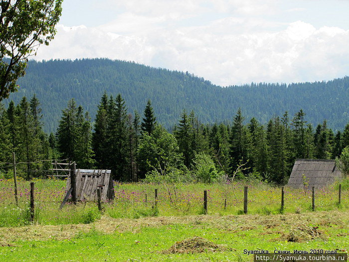 Вершина. Сянки, Украина