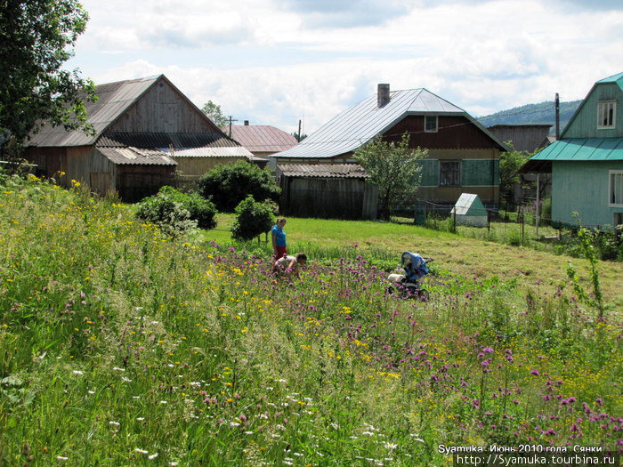 Огородные работы. Сянки, Украина