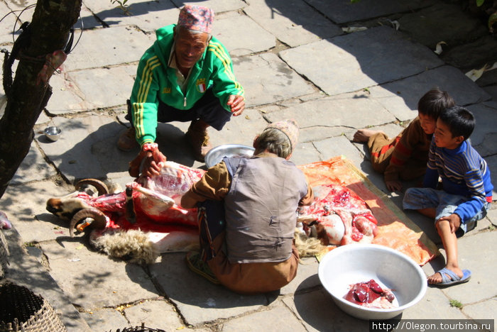 Мясники обучают молодёжь своему делу Непал
