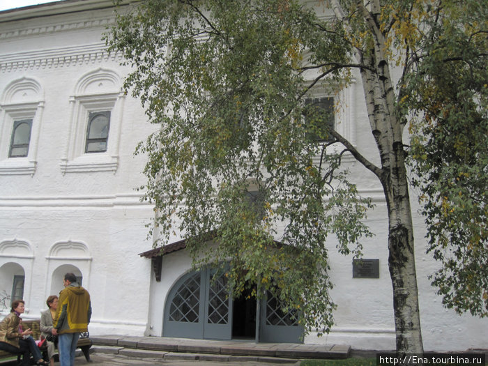 Спасо-Преображенский монастырь (Ярославский музей-заповедник). Русская березка Ярославль, Россия