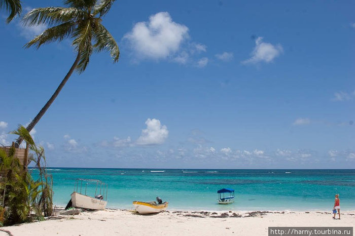 Пляжи в районе Пунта Каны.
Однако, мы не стали ограничиваться пляжем в отеле и проехались по окрестностям. Доминиканская Республика