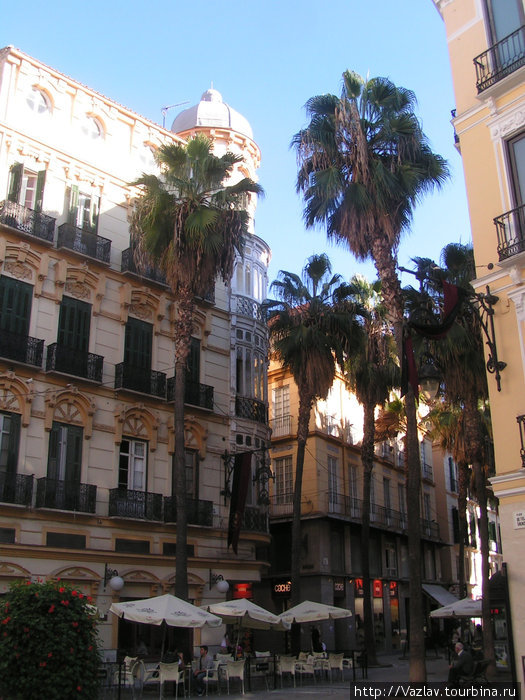 Столики под пальмами Малага, Испания