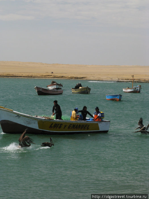 Рыбаки вернулись с уловом Перу