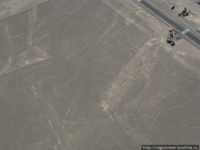 Линии Наски с высоты самолета Сесна Перу
