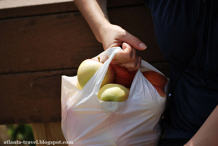 яблоки в Mercier Orchards Apples Штат Джорджия, CША