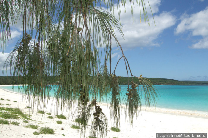 Остров Лифу, WE, отель DREHY VILLAGE Ве, остров Лифу, Новая Каледония