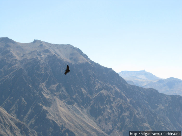 Наш El Condor Pasa Арекипа, Перу