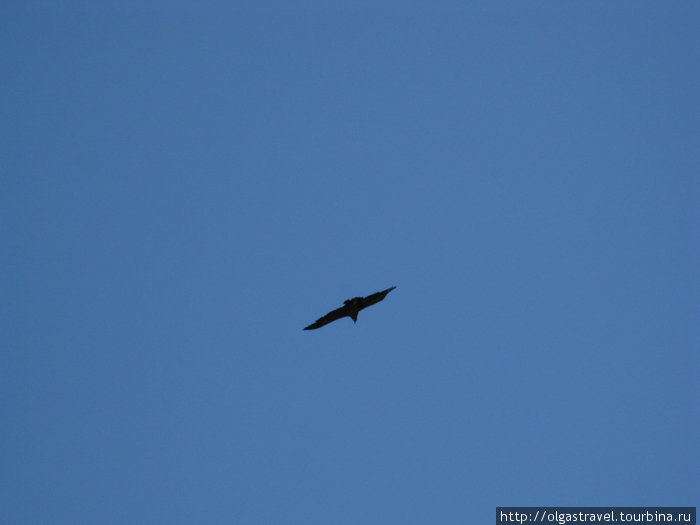 Наш El Condor Pasa Арекипа, Перу