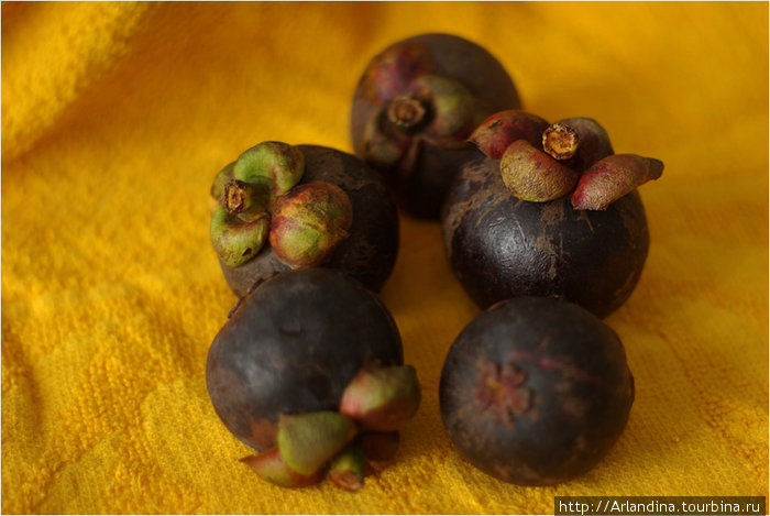 Мангустин (гарциния мангустана) является очень сладким экзотическим фруктом. Хат-Яй, Таиланд
