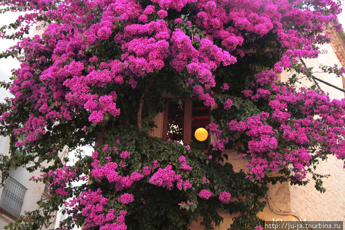 Жить в кустах — это так романтично) Кадакес, Испания