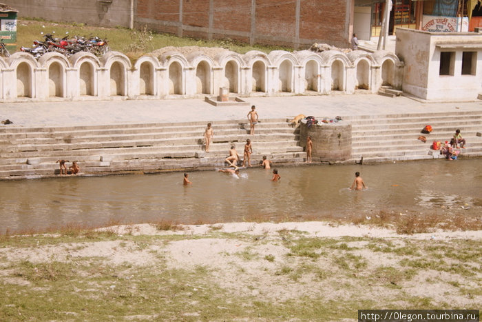 В священной реке с удовольствием купаются и резвятся Непал