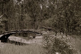 Разрушившийся мостик через пересохший канал в заброшенном парке...