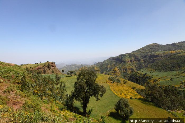 Эфиопия. Эфиопия