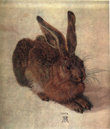 Кролик.. Автор А. Дюрер.