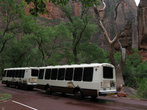 Летом по парку возможно передвигаться только на таких автобусах-шатлах.