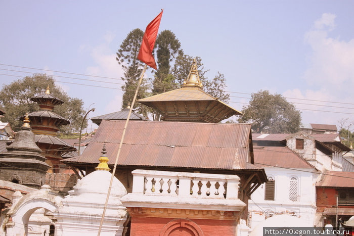 Священное ожидание смерти Катманду, Непал