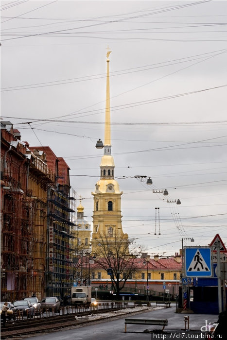 Любимый город. Сеть в небе Петербурга.