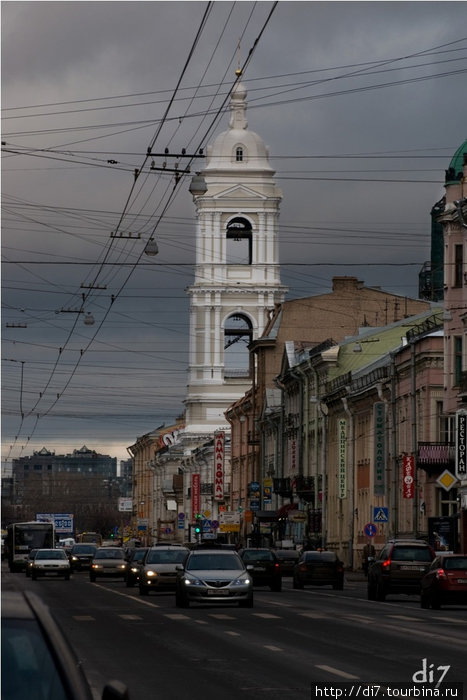 Любимый город. Сеть в небе Петербурга.