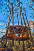 Это трихаус — домик на дереве для детей. Там в лесной части парка их много. Мы видели 3.