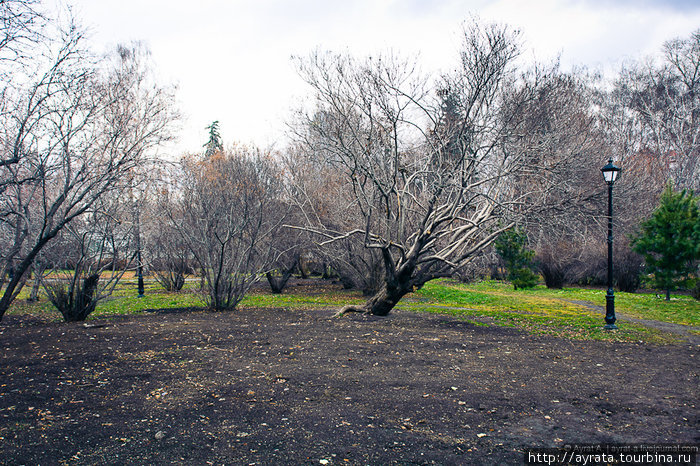 в дендропарке Екатеринбург, Россия