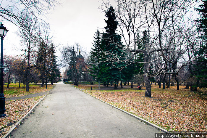 в дендропарке Екатеринбург, Россия